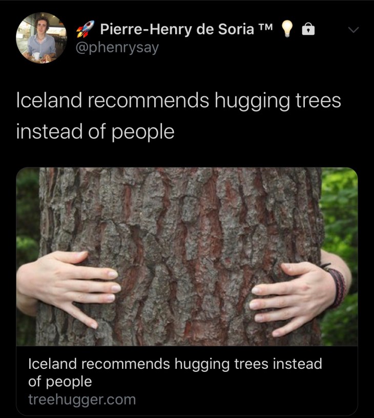 L’Islande recommande de pratiquer la Sylvothérapie