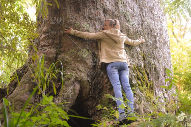 Sylvothérapie. L’art de serrer les arbres !